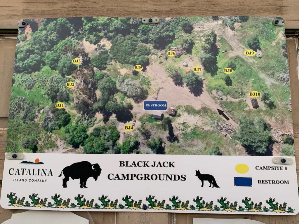 Black Jack campground map on the Trans Catalina Island Trail