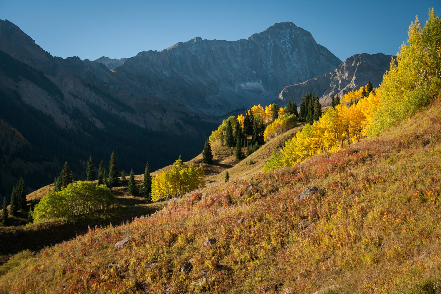 Capitol Ditch Trail // Experience the best fall colors and foliage in Colorado with this detailed road trip itinerary