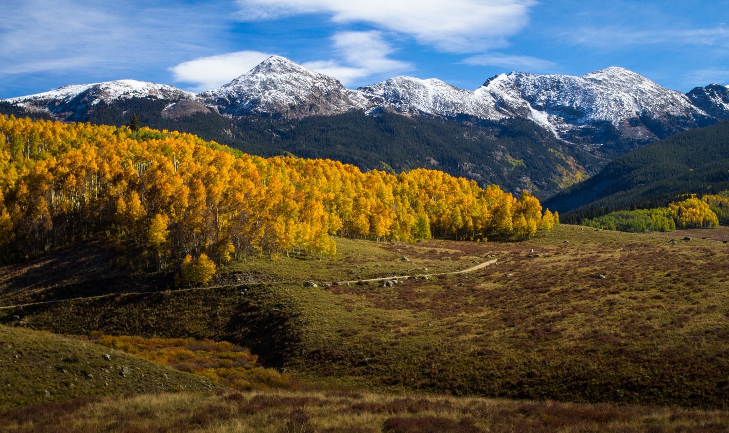 Landscape photo of tall snow-dusted Rockies peaks with large grove of golden aspen trees a its base in Colorado