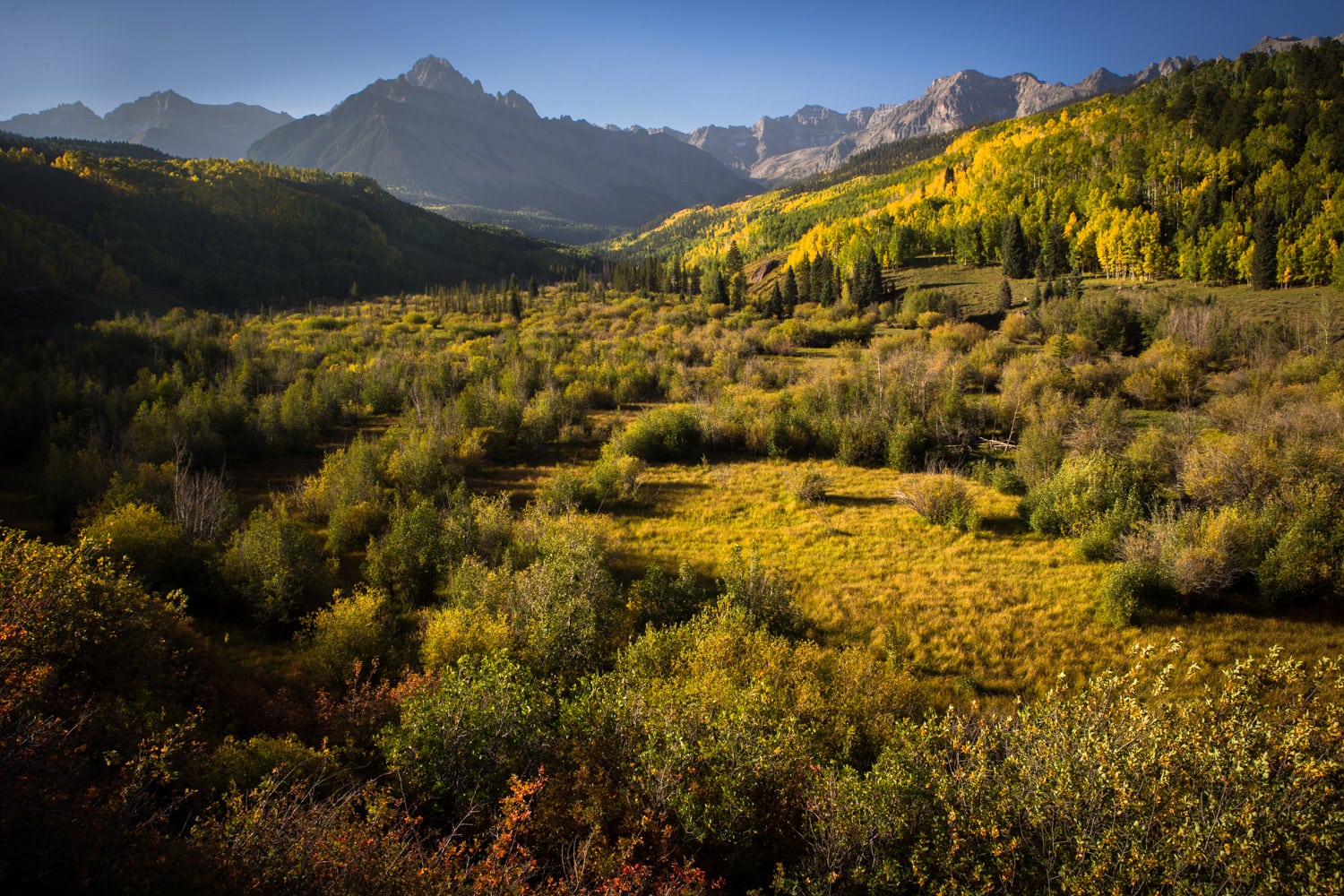 Sneffels Range in Colorado surrounded by golden aspen trees