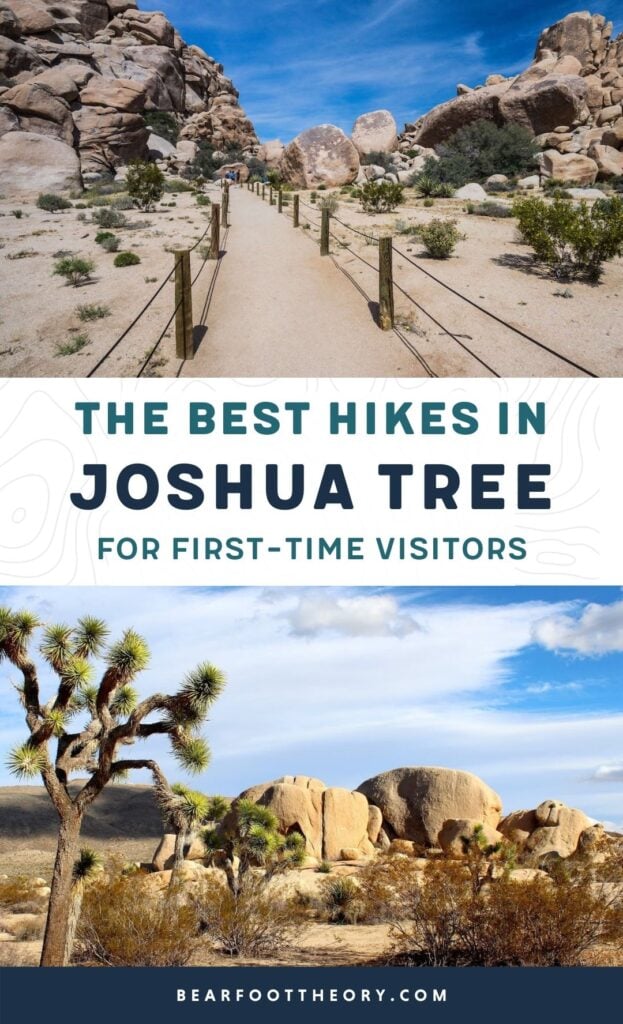 第一次去约书亚树国家公园?这里有3个最好的约书亚树徒步旅行的细节，以及旅行期间住宿的信息。