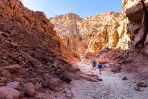 徒步旅行者在犹他州穿过干燥的峡谷和高大的红色岩壁