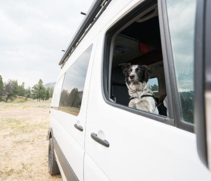 获得15个与你的狗一起公路旅行的实用技巧，包括训练和想法，让你的狗在路上锻炼和娱乐。