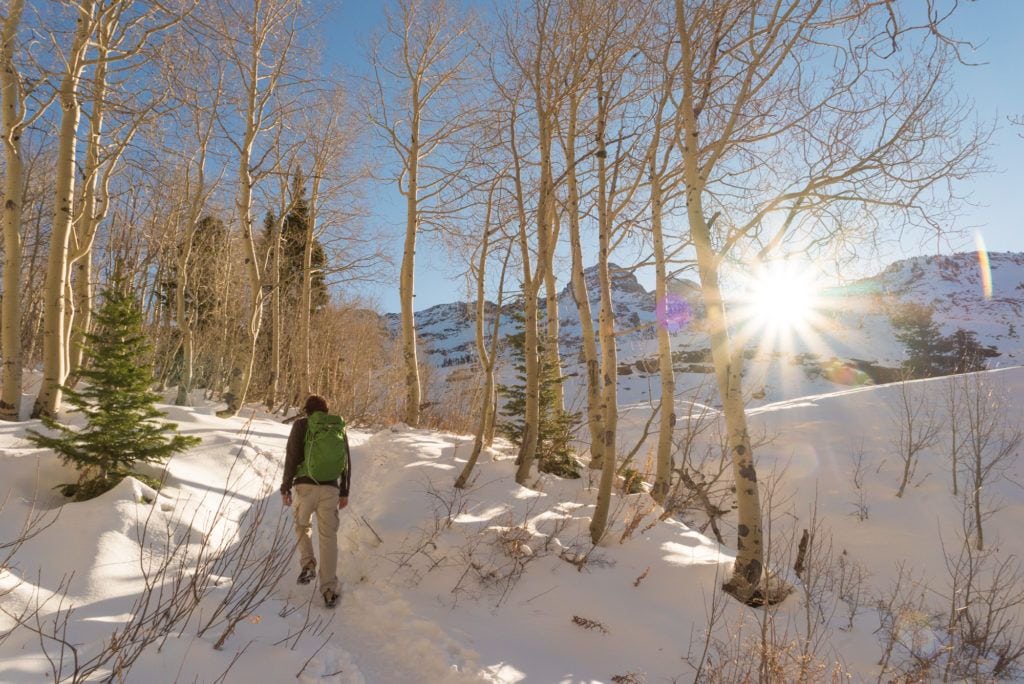 当太阳从雪山的山脊上落下时，人们在白杨树的雪道上徒步旅行