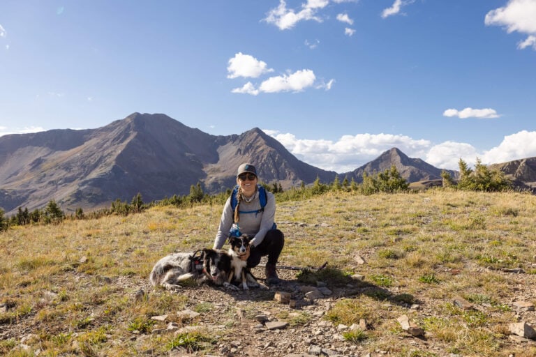Dog First Aid for Hiking: Expert Tips from a Veterinarian