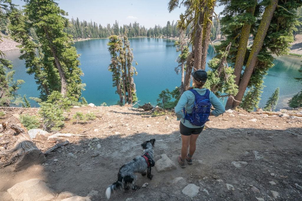 女性徒步旅行者和服务犬在小径上背着旅行包，望着被松树环绕的蓝色湖泊。