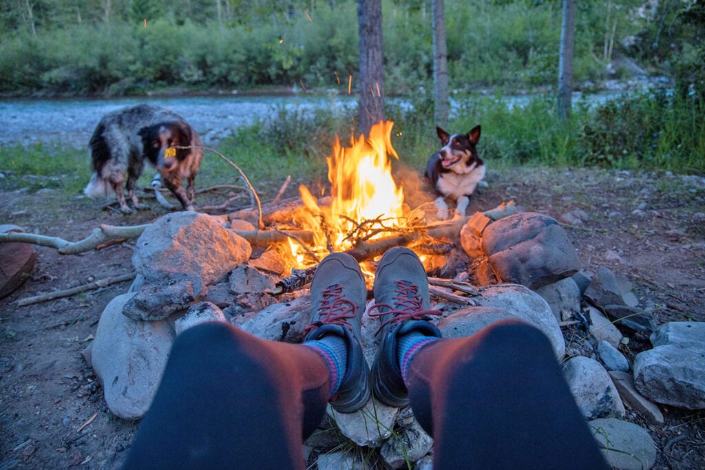 营地火在石头火环与两条狗和河的背景