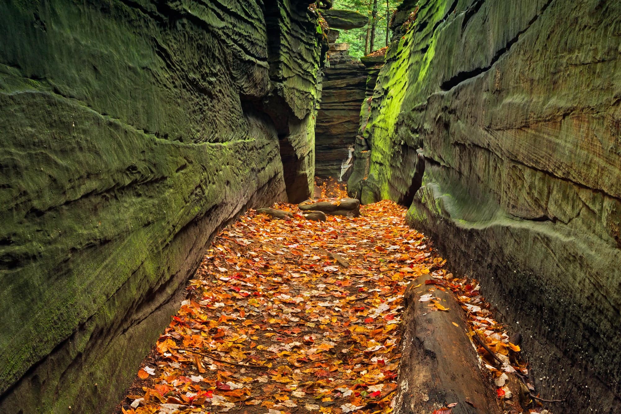 Cuyahoga Valley National Park // Check out the best National Parks to visit in the fall for the a leaf-peeping vacation. Enjoy autumn colors in these 10 great parks.