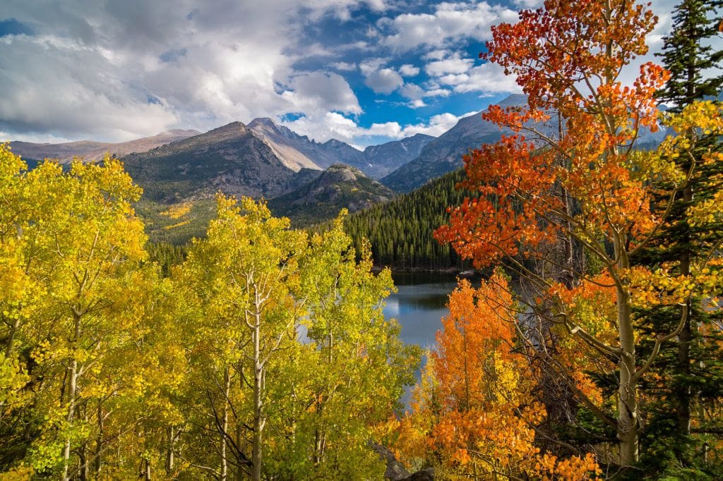 Fall foliage in Rocky Mountain National Park