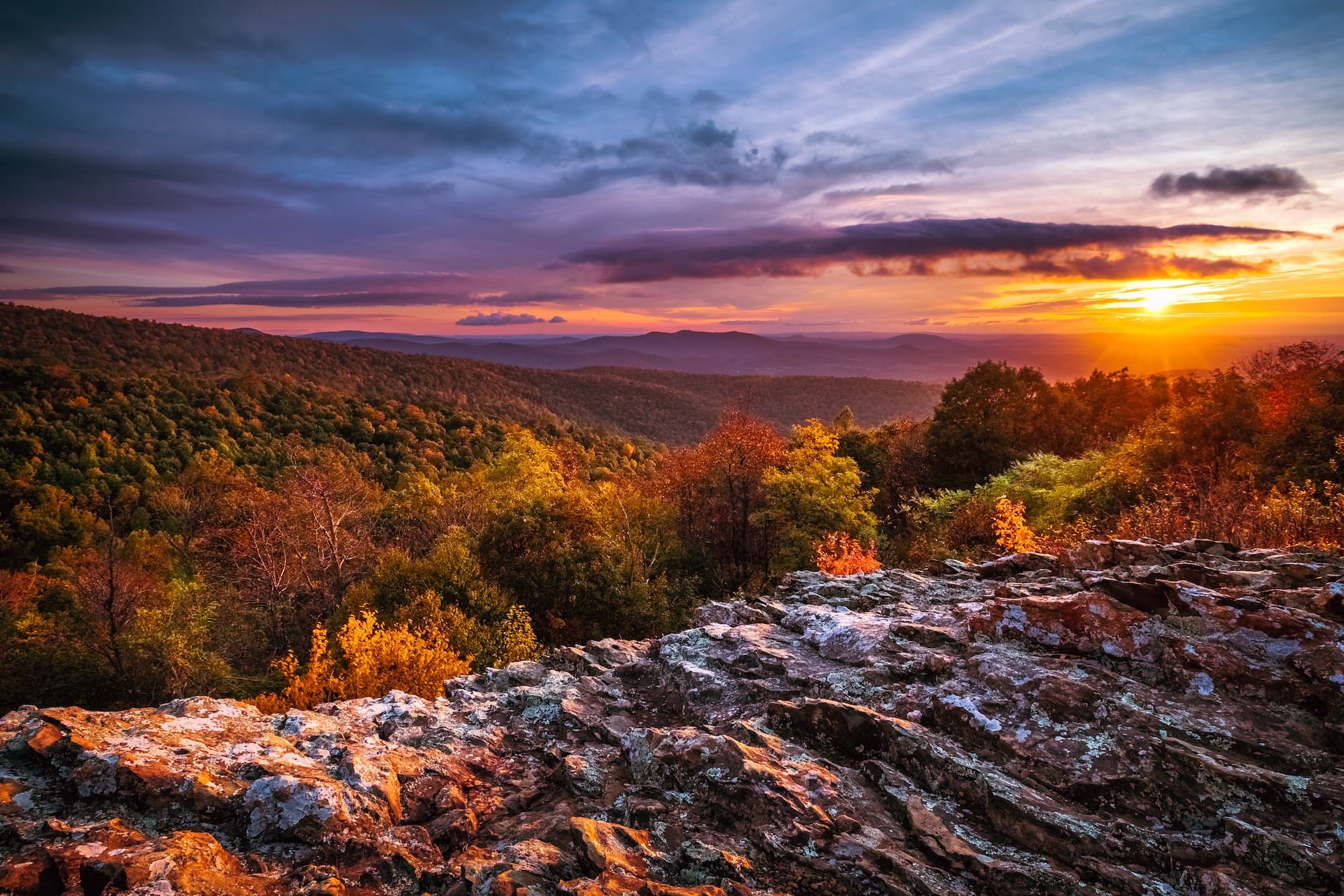 Shenendoah National Park // Discover the best National Parks to visit during fall for fall colors and foliage. Get tips on hikes, scenic drives, and more.