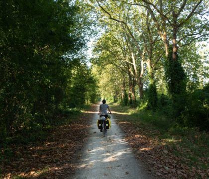 本指南将帮助您计划在法国的威洛奥德赛大西洋自行车路线上的自行车旅行，并提供关于自行车运输、装备、露营等方面的建议。