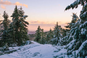 想去新罕布什尔州的冬季徒步旅行吗?这条徒步旅行指南在冬季南山包括什么期待和更多。