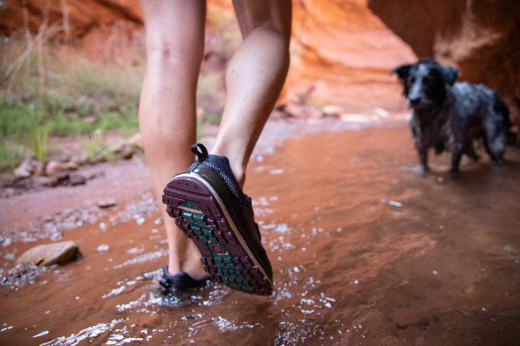 星光T1水鞋在玛丽简瀑布徒步旅行。一个徒步旅行者正穿过一个潮湿的峡谷，背景中有一只狗