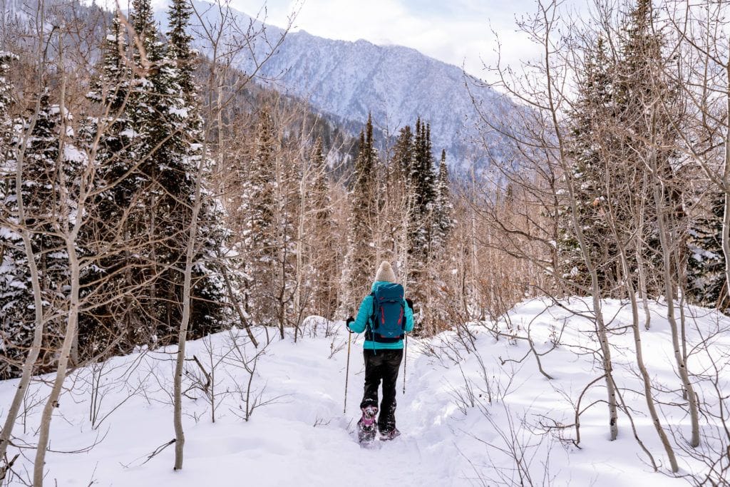 在平坦的小路上，一个女人穿着雪鞋穿过贫瘠的树林。她背着一个背包，穿着冬季徒步旅行的衣服
