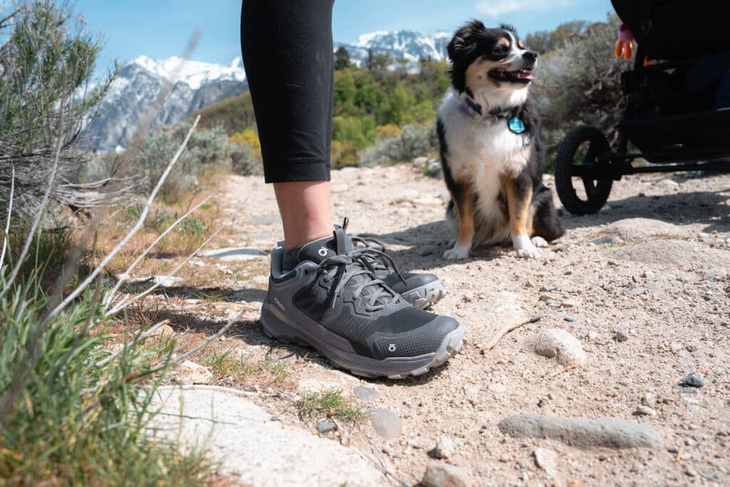 Closeup of the Oboz Katabatic light and fast hiking shoes on a dirt trail with a dog and mountains in the background