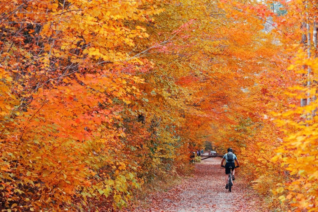 伯灵顿自行车道//计划你的佛蒙特州秋叶公路之旅，与我们的导游一起，在哪里看到最好的秋天颜色，包括风景如画的赏叶驾驶等。