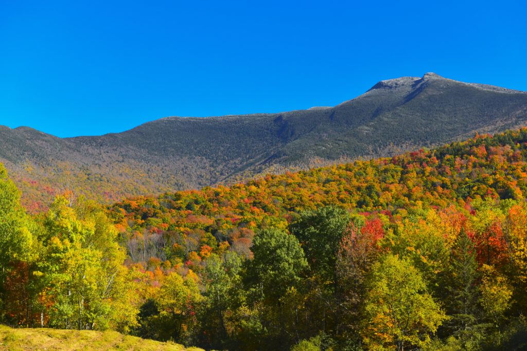 曼斯菲尔德山//和我们的导游一起计划你的佛蒙特州秋叶公路之旅，在哪里可以看到最好的秋天颜色，包括风景优美的赏叶驾驶等。