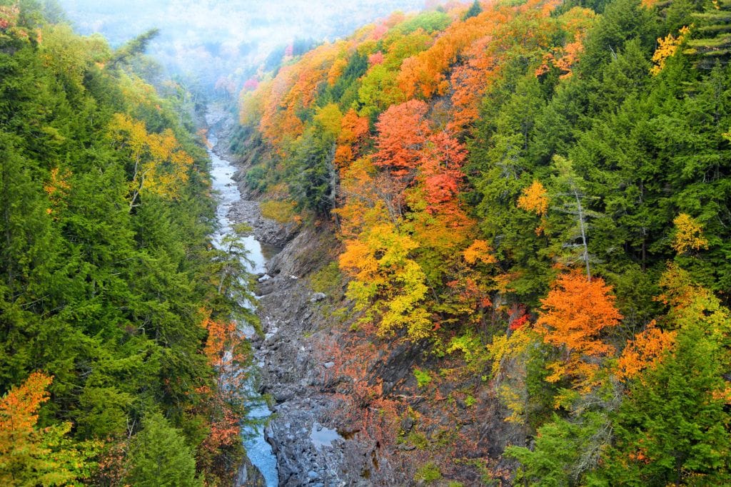 奎奇峡谷//和我们的导游一起计划你的佛蒙特州秋叶公路之旅，在那里可以看到最好的秋季色彩，包括风景秀丽的赏叶驾驶等。