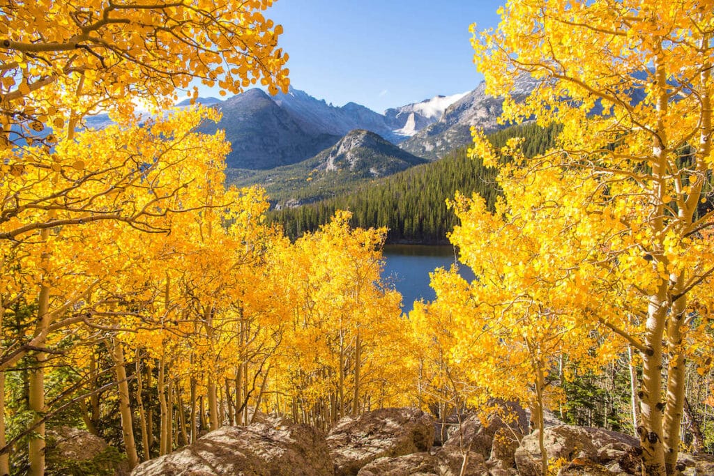 Lake in Rocky Mountain National Park in Colorado framed by golden aspen trees