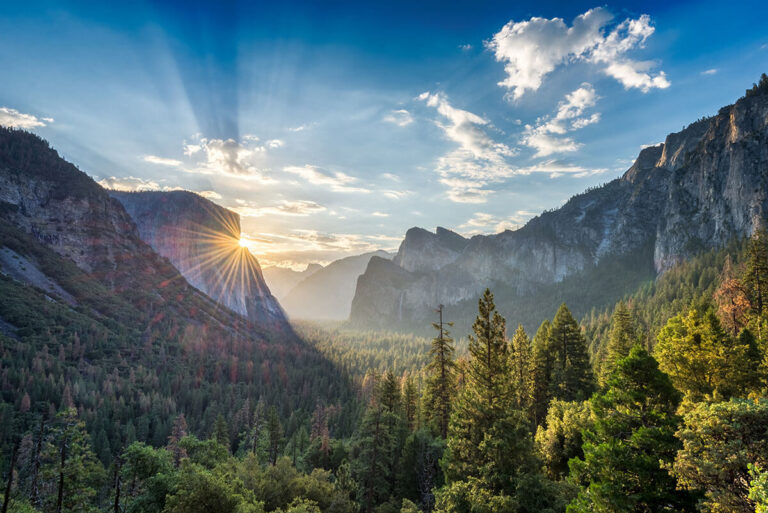 Best Things To Do In Yosemite National Park