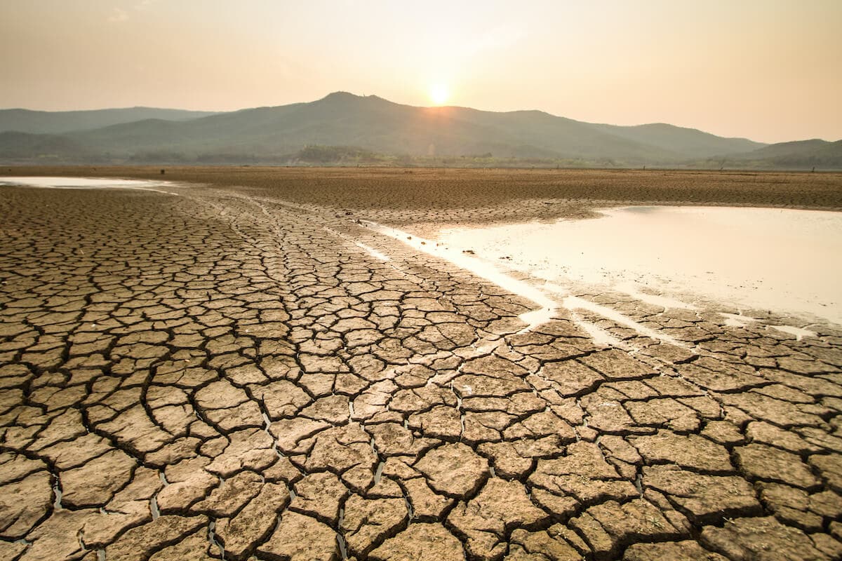 干旱状况正在困扰着西方——你能做些什么?