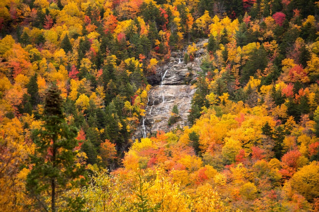 艾瑞莎瀑布克劳福德峡谷州立公园//探索新罕布什尔州最好的徒步旅行，看秋天的树叶与我们的全面徒步旅行指南，包括方向和步道统计。