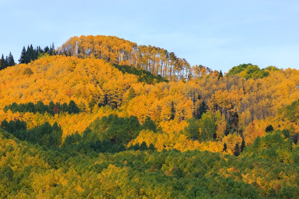 深溪//了解科罗拉多州西南部杜兰戈、特柳赖德和大沙丘国家公园附近最好的秋季徒步旅行，了解步道统计和更多信息。