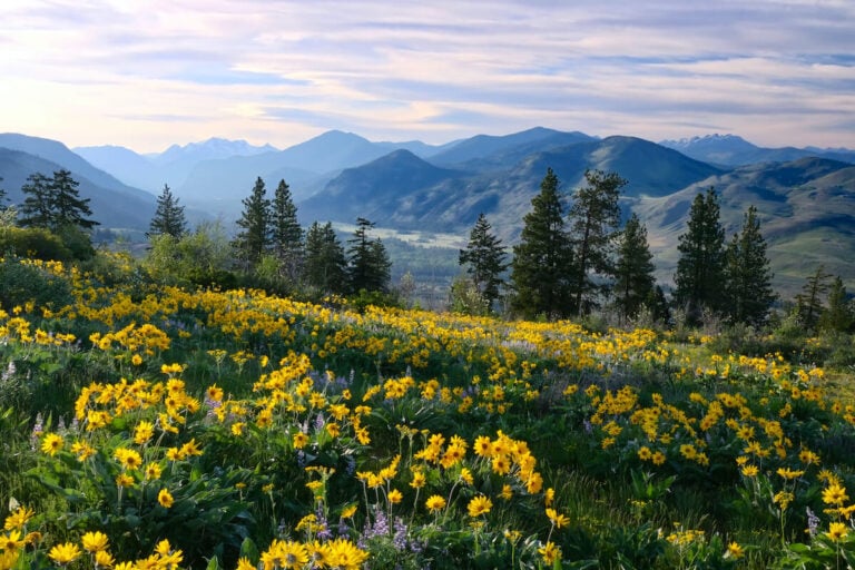 6 Best Hikes Near Seattle, Washington