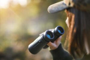 探索远足最好的双筒望远镜，如何选择最好的一对，以及在小径上使用它们的技巧，以获得难忘的野生动物景观。