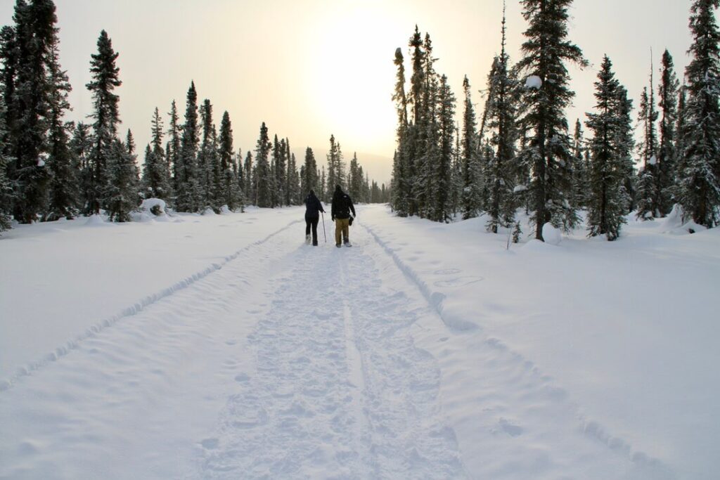 两个人冬天在阿拉斯加的Coldfoot穿雪鞋