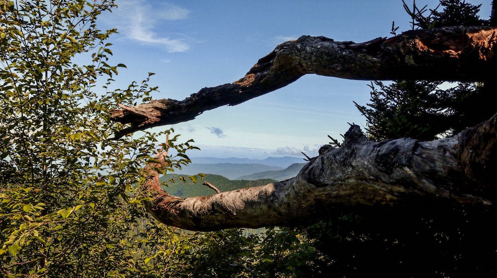 大烟山国家公园被两棵树枝围成的山脉景观