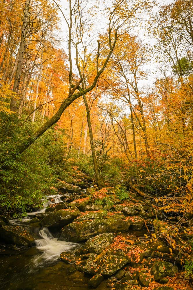 烟雾山国家公园的风景蒸汽被秋天的色彩包围