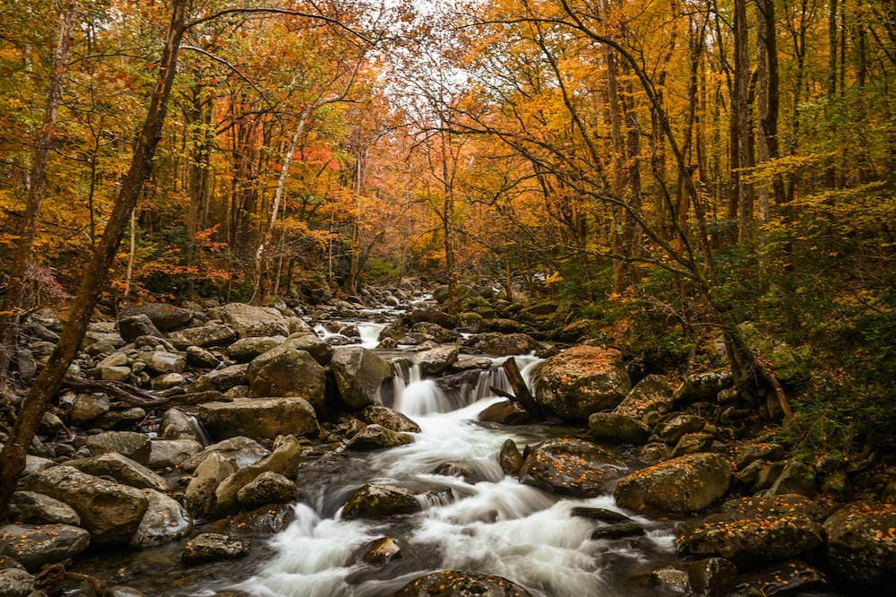 大烟山国家公园的河流风景与秋天的颜色