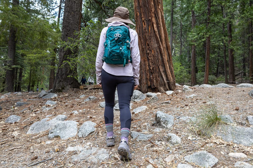 Back of a woman hiking uphill wearing hiking clothes, a hat, hiking daypack, and hiking shoes
