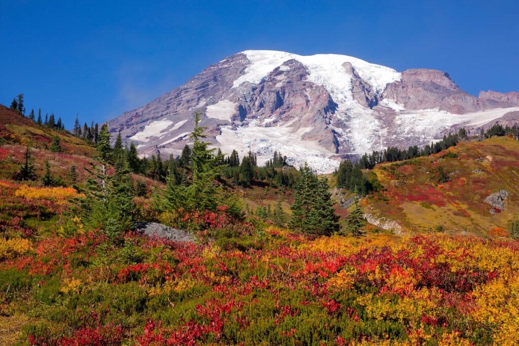 Mt Rainier National Park during peak fall foliage