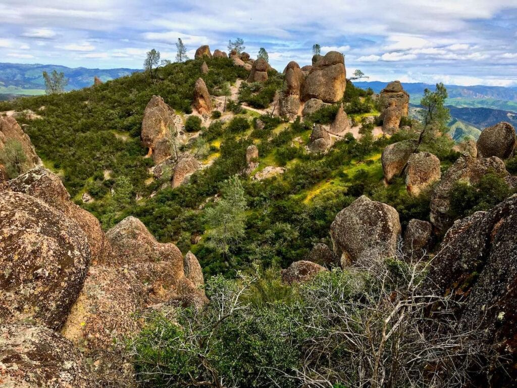 加利福尼亚州尖峰国家公园的大卵石被绿色植被和黄色野花包围的景观照片