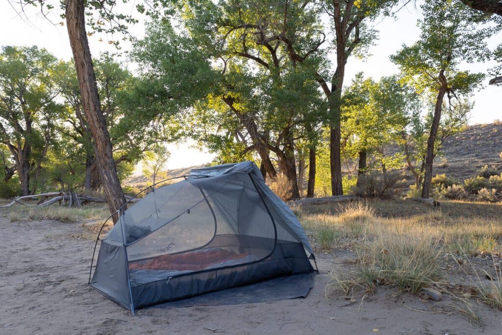 帐篷设置在白杨营地周围的白杨树在红宝石马贼峡谷