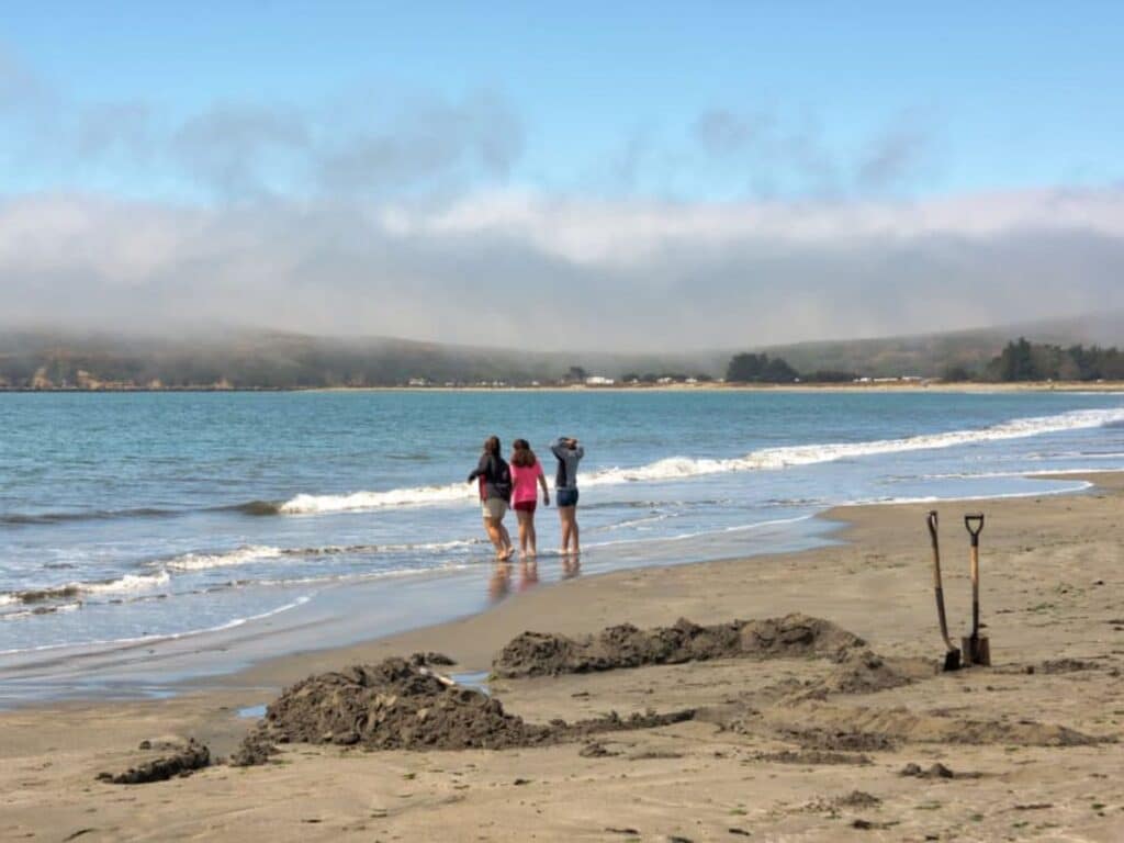 kids playing in shallow water at Doran Beach in California